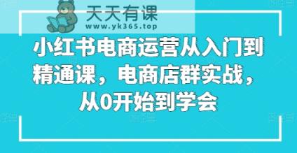 小红书电商经营实用教程课，电商店群实战演练，从0一直到懂得-天天有课网