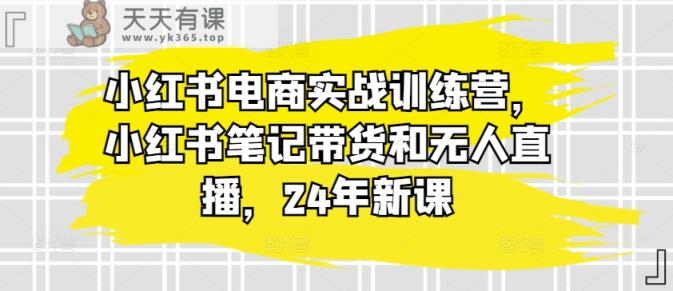 小红书电商实战演练夏令营，种草笔记卖货和无人直播，24年新授课-天天有课网