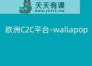 欧洲地区C2C服务平台-wallapop-kim跨境电子商务实例教程-天天有课网