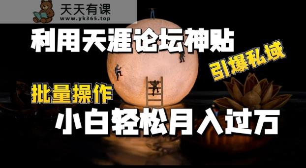 运用天涯社区神贴，点爆公域，批量处理，新手轻轻松松月入了w【揭密】-天天有课网