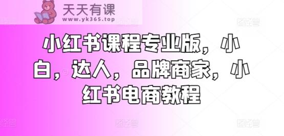 小红书课程专业版，小白，达人，品牌商家，小红书电商教程-天天有课网