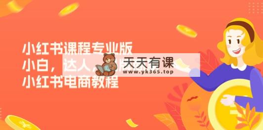 小红书的课程内容标准版，新手，大咖，品牌商，小红书电商实例教程-天天有课网