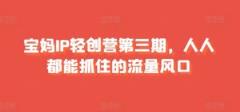 宝妈妈IP轻创营第三期，人人都可以抓住的总流量出风口-天天有课网