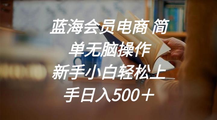 瀚海会员电商 简易没脑子实际操作 新手入门快速上手日入500＋-天天有课网