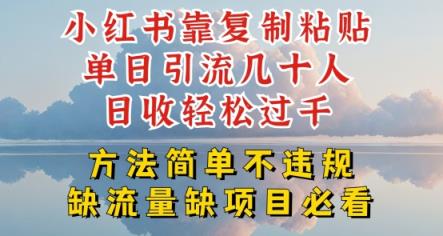 小红书靠复制粘贴单日引流几十人目收轻松过千，方法简单不违规【揭秘】-天天有课网