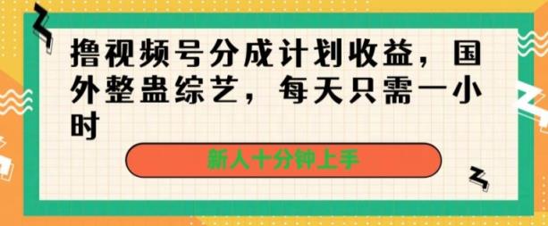 撸视频号分成计划收益，国外整蛊综艺，每天只需一小时，新人十分钟上手-天天有课网