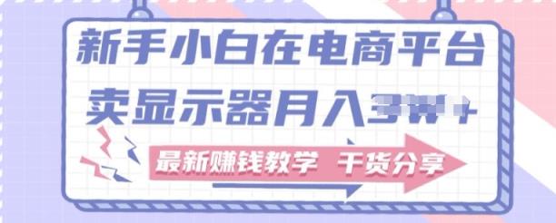 新手入门怎样做到在电商平台卖显示屏，最新赚钱课堂教学满满干货-天天有课网