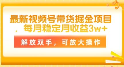 全新视频号带货掘金队新项目，每月平稳月盈利1w ，解锁新技能，可变大实际操作-天天有课网