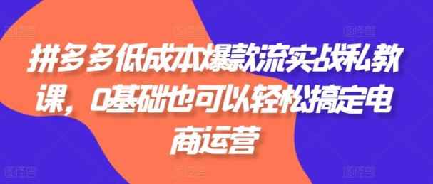 拼多多平台降低成本爆品流实战演练私教，0基本还可以轻松解决网店运营-天天有课网