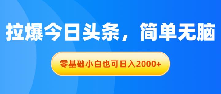 拉爆今日头条，简单无脑，零基础小白也可日入2000+-天天有课网