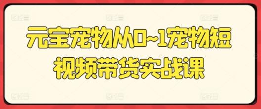 元宝宠物从0~1宠物短视频带货实战课-天天有课网