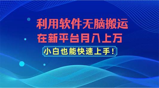 利用软件无脑搬运，在新平台月入上万，小白也能快速上手-天天有课网