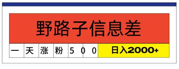 全新《1000个野路子信息差》新模式，字幕视频，单独著作暴粉5000 ，新手快速上手-天天有课网