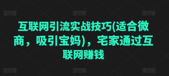 互联网引流实战经验(适宜微商代理，吸引住宝妈妈)，蹲在家里根据网络赚钱-天天有课网