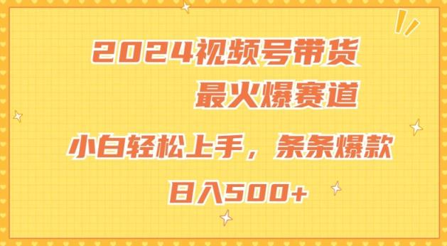 2024微信视频号超受欢迎跑道，新手快速上手，纯原创设计AI卖货，一条条爆品-天天有课网