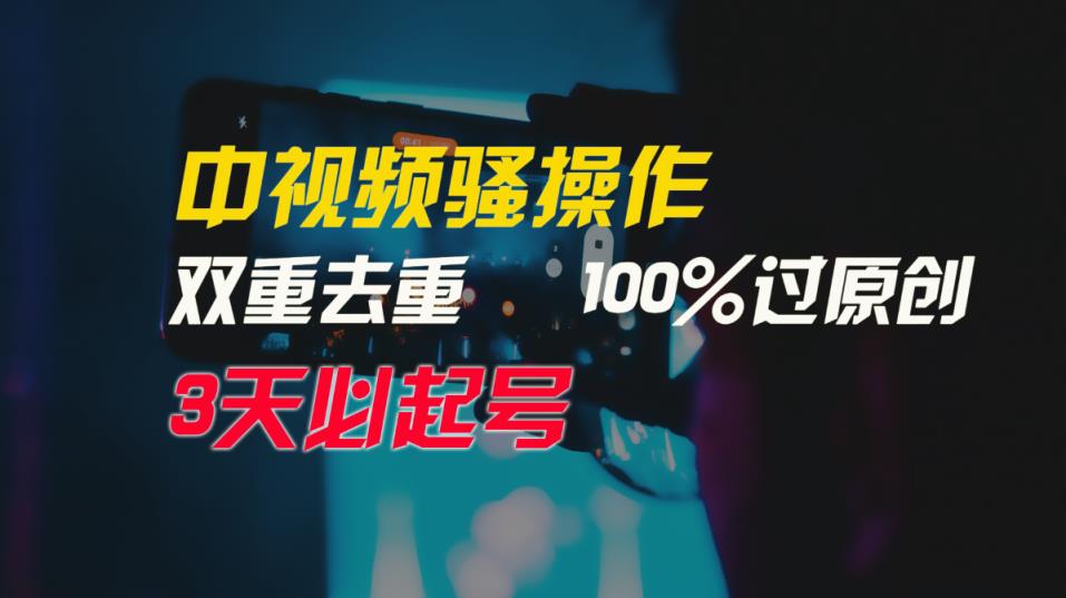 中视频骚操作，双重去重100%过原创，3天比必起号，简单无脑，月入3W+-天天有课网