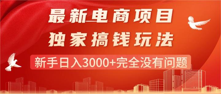 最新电商项目-搞钱玩法，新手日入3000+完全没有问题-天天有课网