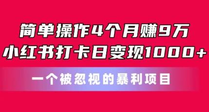易操作4个月赚9w，小红书的打卡签到日转现1k，一个被忽略的暴力新项目【揭密】-天天有课网