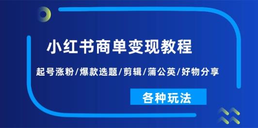 小红书商单变现教程：起号涨粉/爆款选题/剪辑/蒲公英/好物分享/各种玩法-天天有课网