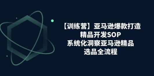 【训练营】亚马逊爆款打造之精品开发SOP，系统化洞察亚马逊精品选品全流程-天天有课网