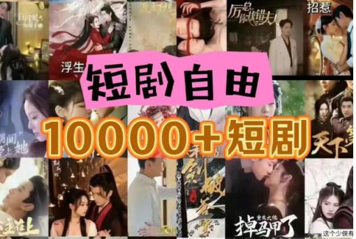 打造完全属于自己的个人短剧库，实现网盘拉新与私域变现的完美融合！-天天有课网