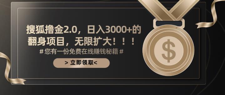 搜狐撸金2.0日入3000+，可无限扩大的翻身项目-天天有课网