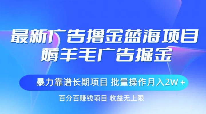 最新广告撸金蓝海项目，薅羊毛广告掘金 长期项目 批量操作月入2W＋-天天有课网