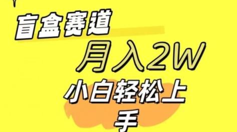 2024交友盲盒 同城网搭子群新项目全新游戏玩法运单号日入多张 可大批量-天天有课网