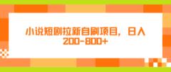小说短剧拉新自刷项目，日入200-800+-天天有课网