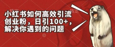 小红书的如何有效引流方法自主创业粉，日引100 ，解决你遇到的困难【揭密】-天天有课网