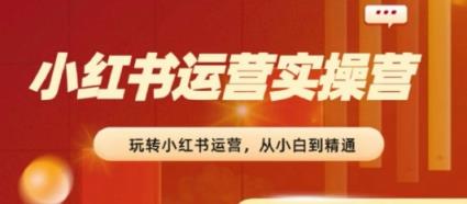 2024小红书运营实际操作营，实用教程，实现从0~1~100-天天有课网
