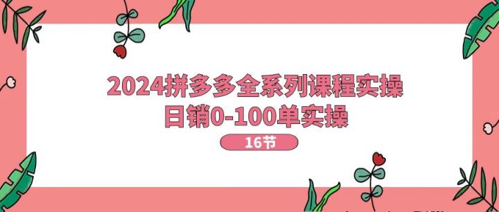 2024拼多多平台全主题课程实际操作，日销0-100单实际操作【16堂课】-天天有课网