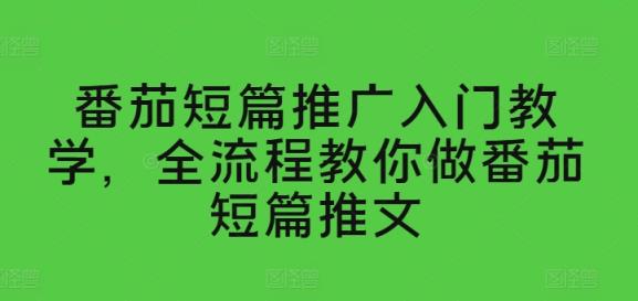 西红柿短篇小说营销推广新手入门课堂教学，全过程手把手带你西红柿短篇小说文章-天天有课网