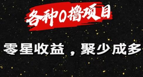 各种各样0撸新项目零星盈利，聚少成多-天天有课网
