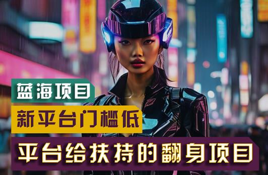 【蓝海项目】新平台无脑搬运，翻身项目 门槛低 小白也能轻松上手 日入500+-天天有课网