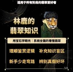林鹿的翡翠知识，用晶石目光，系统全面的看明白翡翠玉-天天有课网