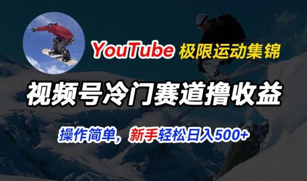 微信视频号小众跑道撸盈利，YouTube运送滑雪运动合集，暴力行为养号，使用方便总流量高，轻轻松松日入5张【揭密】-天天有课网