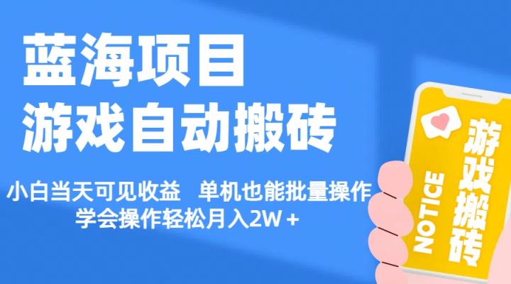 【蓝海项目】游戏自动搬砖 小白当天可见收益 单机也能批量操作 学会操…-天天有课网