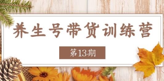 健康养生号卖货夏令营【第13期】盈利更稳定的游戏玩法，使你卖货盈利发生爆炸-天天有课网