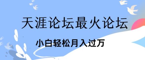点爆公域运用最红话题讨论天涯社区、新手轻轻松松月入了w-中创网_分享中创网创业资讯_最新网络项目资源-天天有课网
