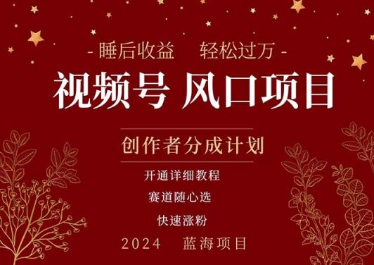 拥有睡眠收益的微信视频号大风口项目，轻松月入过万+，多赛道选择，可…-中创网_分享中创网创业资讯_最新网络项目资源-天天有课网