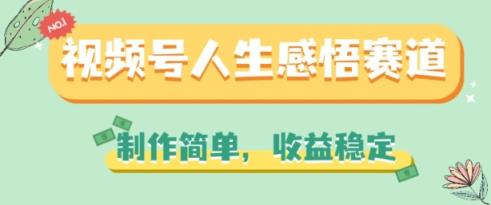 微信视频号人生的感悟跑道，制作简单，收益稳定【揭密】-天天有课网