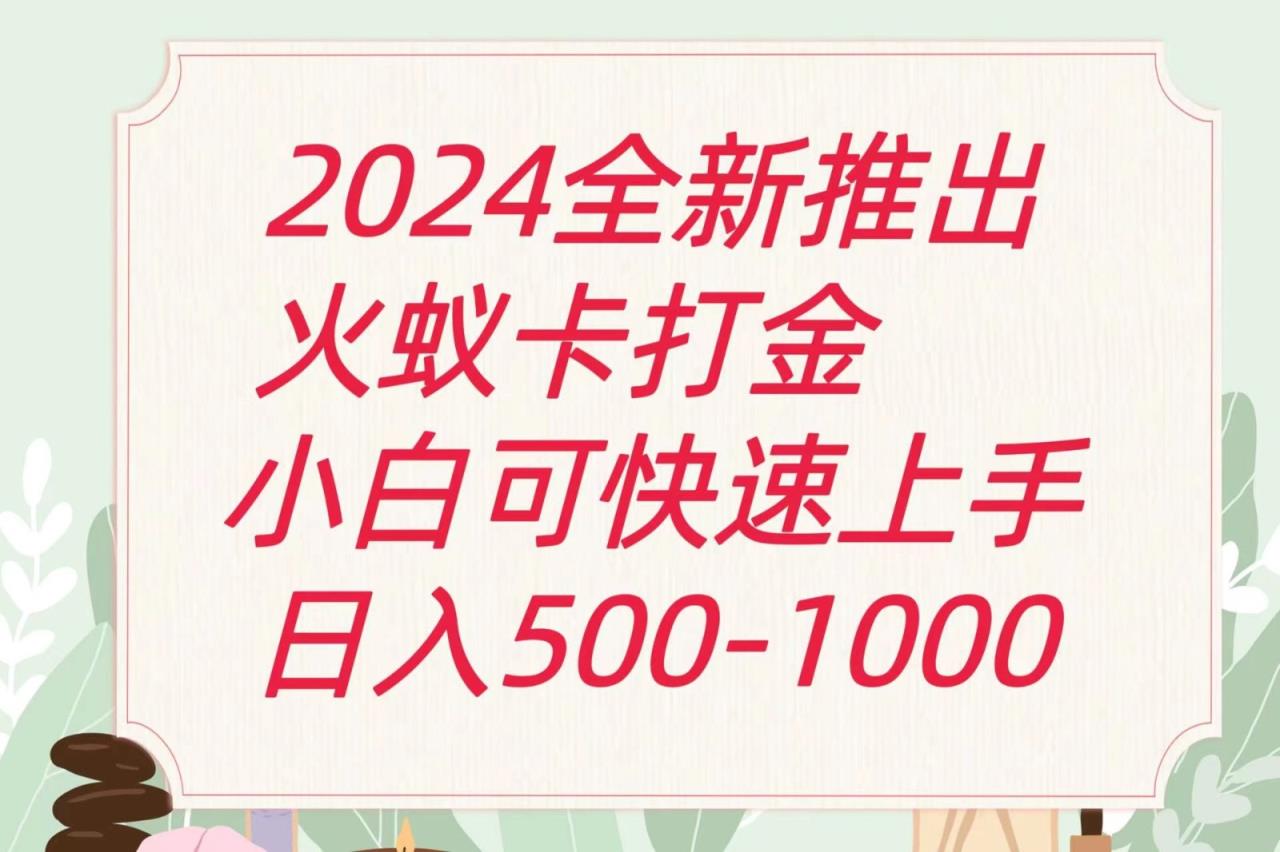 2024火蚁卡刷金全新游戏玩法计划方案，单机版日盈利600-天天有课网