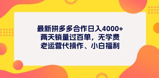 全新拼多多平台新项目日入4000 二天销售量过百单，无培训费、老经营代实际操作、新手褔利-天天有课网