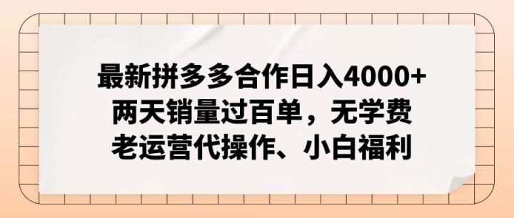 全新拼多多平台优质企业新手褔利，二天销售量过百单，不要钱、老经营代实际操作-天天有课网