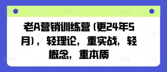 老A营销训练营(更24年6月)，轻理论，重实战，轻概念，重本质-天天有课网