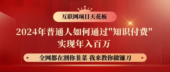 2024年平常人怎样通过"社交电商"月入十万年收入百万，实现财务自由-天天有课网