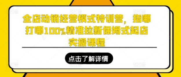 全店动销运营模式夏令营，指哪打哪100%精确引流跟踪服务出单实操课程-天天有课网