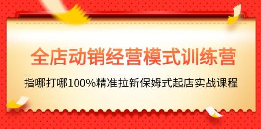 全店动销-经营模式训练营，指哪打哪100%精准拉新保姆式起店实战课程-天天有课网