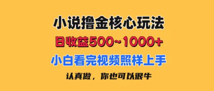 小说撸金核心玩法，日收益500-1000+，小白看完照样上手，0成本有手就行-天天有课网